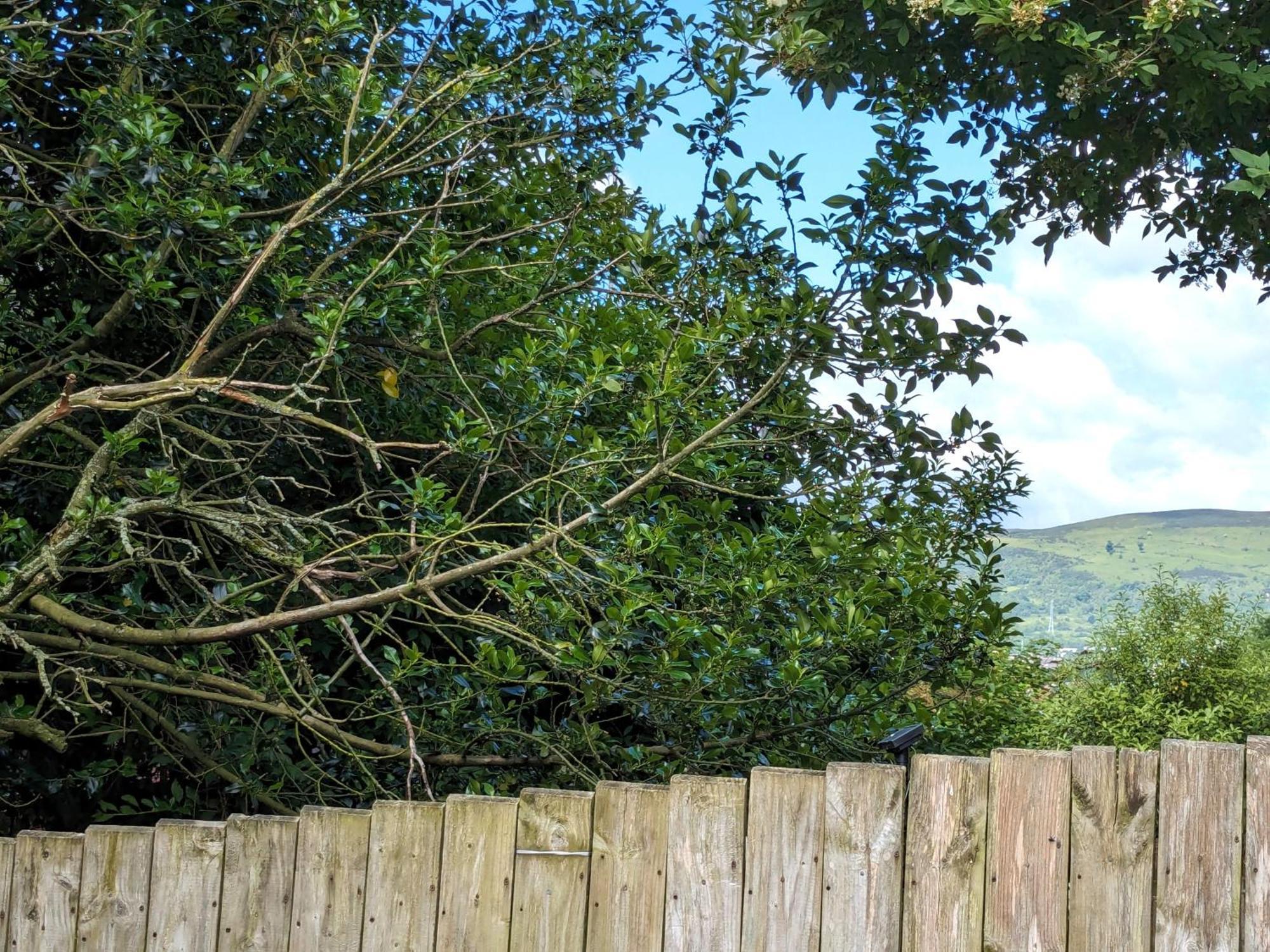 Heart Of Belfast With Private Garden Villa Buitenkant foto